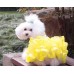 Кучешка рокля yellow Кучешка рокля yellow