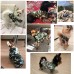 Кучешка дрешка зелена
