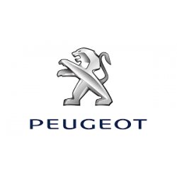PEUGEOT (25)