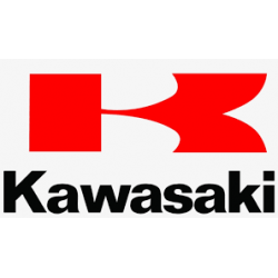 KAWASAKI (1)